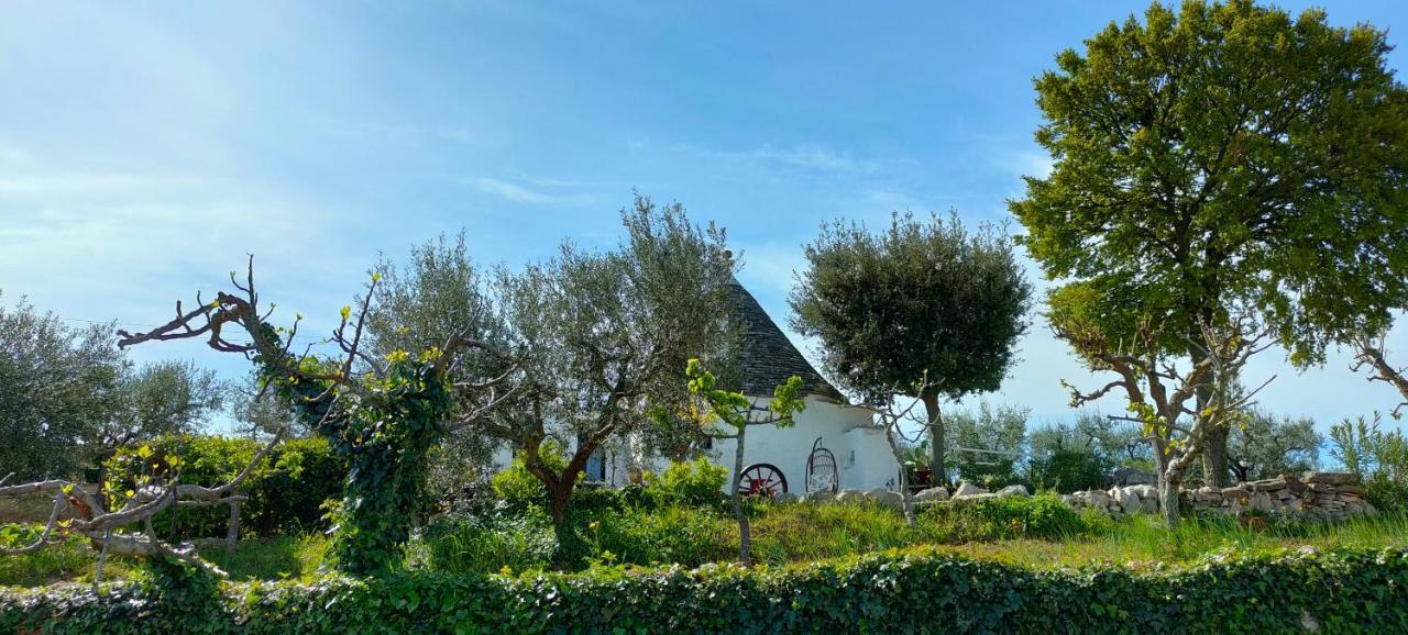 Antico Trullo Immerso Nella Campagna Alberobello Luaran gambar