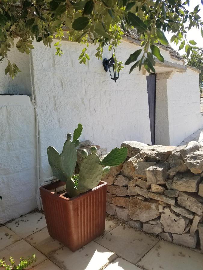 Antico Trullo Immerso Nella Campagna Alberobello Luaran gambar